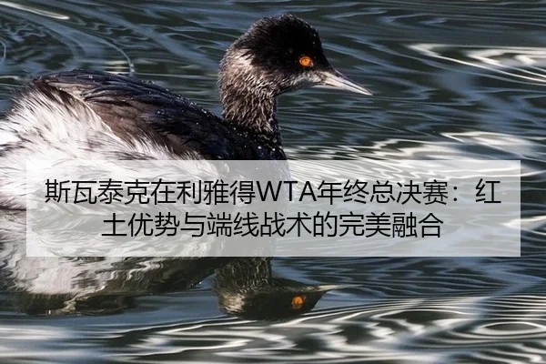 si-wa-tai-ke-zai-li-ya-de-nian-zhong-zong-jue-sai-hong-tu-you-shi-yu-duan-xian-zhan-shu-de-wan-mei-rong-he-2-948.jpg