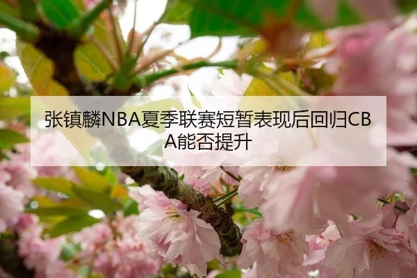 张镇麟NBA夏季联赛短暂表现后回归CBA能否提升